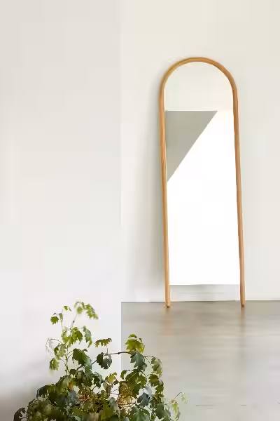 arc_mirror