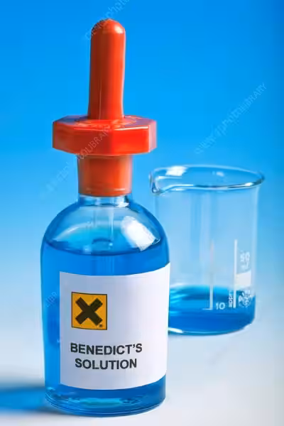 The Benedict Solution: Navigating Faith in a Complex World