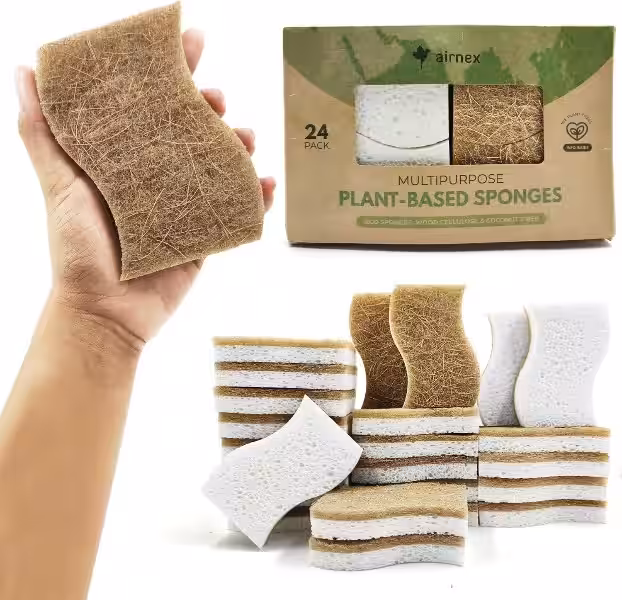 Embracing a Sustainable Clean: Biodegradable Sponges and the Echoes of Stewardship