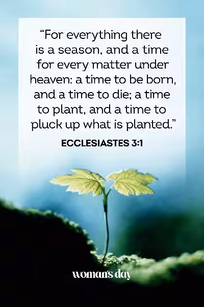 catholic_bible_verses_about_life