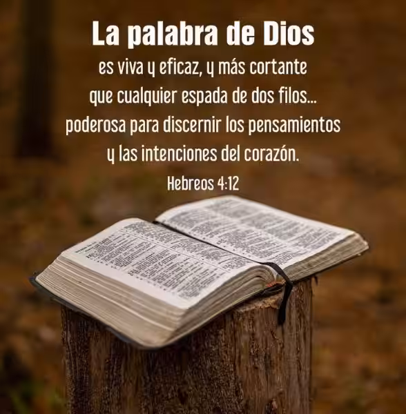 La Biblia: Un Faro de Verdad y Esperanza - La Biblia es la Palabra de Dios