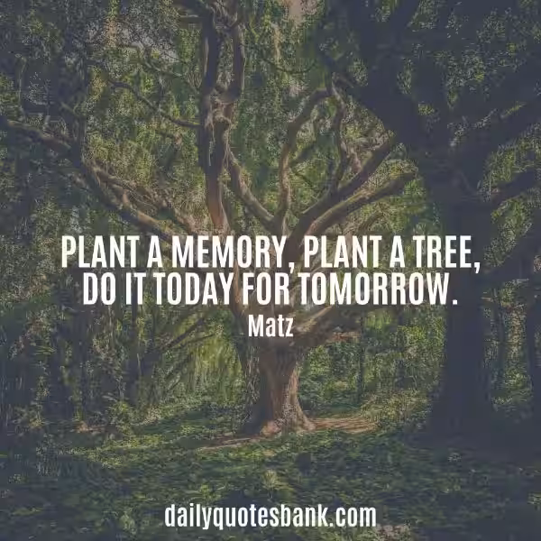 planting_trees_quotes