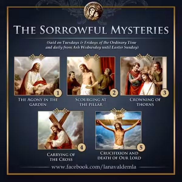 The Path of Compassion: Meditations on the Scriptural Rosary Sorrowful Mysteries