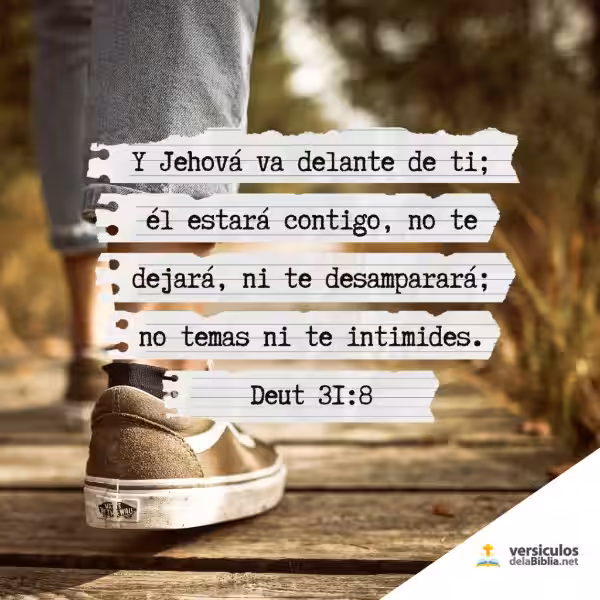 Textos Bíblicos para Animar: Encontrando Força na Palavra de Deus em Tempos Difíceis