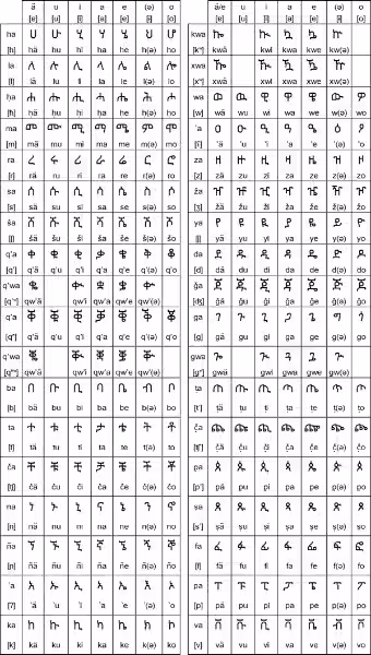 tigrigna_translation