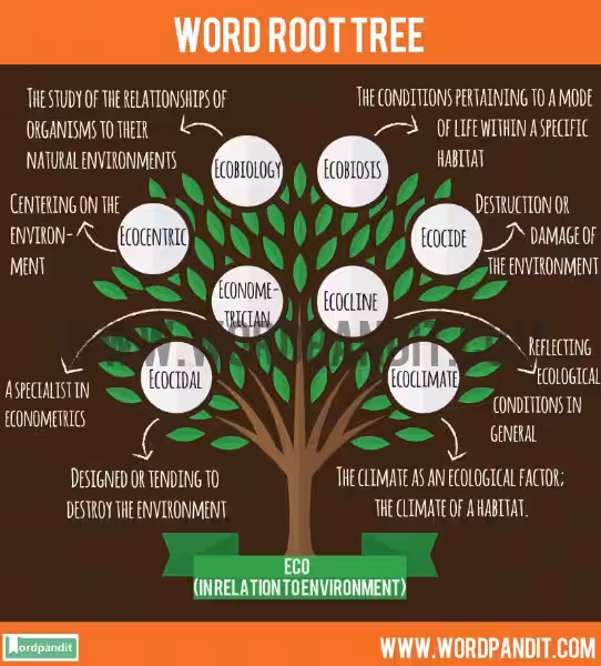 words_with_the_root_eco